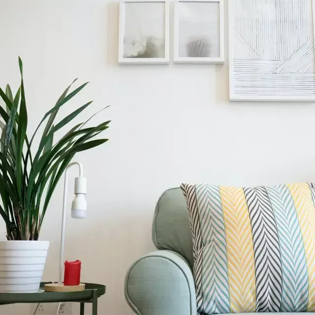 客廳沙發、盆栽和小檯燈